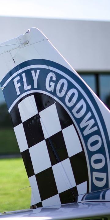 Aeroclub at Goodwood 2015 by Nicole Hains