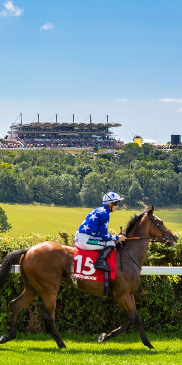 Horses at the start of the Matchbook Betting Exchange Handicap Stakes..Picture date: Tuesday July 31, 2018..Photograph by Christopher Ison ©.07544044177.chris@christopherison.com.www.christopherison.com